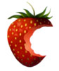 Caterers Melbourne